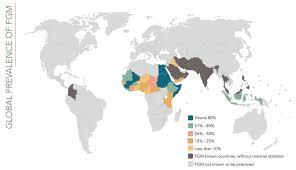 Fgm, or cutting, as it is also sometimes known, is the removal of the external female genitalia. What Is The Cost Of Female Genital Mutilation End Violence