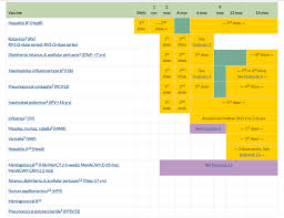 File 2017 Childhood Immunization Schedule From The Cdc Png