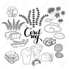 collection de plantes oceaniques et des elements recifs coralliens en trait style d art isole sur blanc coloriage design clip libres droits vecteurs illustration image 51484780 chauve-souris