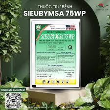 Sieubymsa 75WP