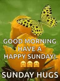 We did not find results for: Happy Sunday Gifs Tenor
