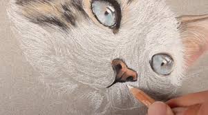 Draw two triangle shapes for the ears and one triangle shape for the nose. How To Draw A Cat With Pastels