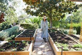 Ready for dining yard to table?! 4 Tips For Starting Or Improving An Edible Garden The Seattle Times