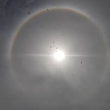 It won't happen unless that specific type cloud is there and you normally can't see it due to how thin it is. Sun Halo With Birds Today S Image Earthsky