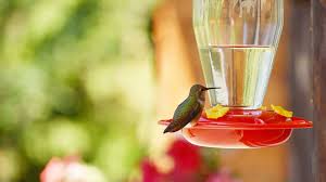 Nov 27, 2017 · the best (and least expensive) solution for your feeder is a 1:4 solution of refined white sugar to tap water. How To Make Hummingbird Nectar And Refill A Feeder Fast Today S Homeowner