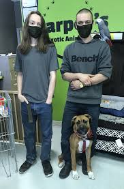Janda gear and exotic pets supplies, hedgehog food pokey crunch, hedgehog sleep sacks, bonding pouches, exotic pet food. Shine On Meet The Nominees Harper S Exotic Animals Pet Supply The Saint Croix Courier