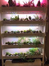 Opcom Hydroponics With Suculent Indoor Hydroponic Gardening Indoor Garden Apartment Indoor Design
