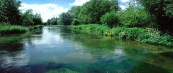 Image result for river