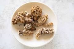 What do morels taste like?