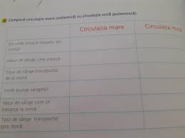 Maybe you would like to learn more about one of these? Compara Circulatia Mare Sistemica Cu Circulatia Mica Pulmonara Brainly Ro