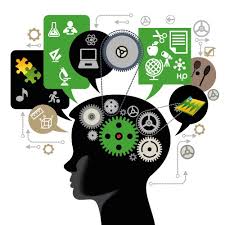 Contenidos curriculares - Componentes del currículo