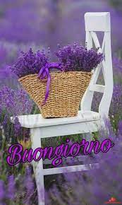 Immagini Bellissime Di Buongiorno Caffe Per Whatsapp Da Scaricare Gratis 9898 Buongiorno Citazioni Buongiorno Immagini