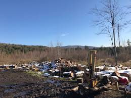 Mixed hardwood and some pine, some cut to firewood length, some 4'. Wood For Good Jericho Father And Sons Offer Firewood For The Taking