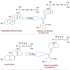 Vitamin d obtained from sun exposure, foods, and supplements is biologically inert and must undergo two hydroxylations in the body for activation. Vitamin D Structure And Occurrence Biochemistry