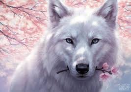 Pin Von Julie Auf Der Wolf Wolf Malen Wolfskunst Wolf Zeichnung Apparently, when you use it with the wii u version of tp you can level him up and he gets hearts and when the new zel. pinterest