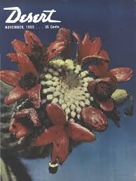 Desert Magazine 1955 November