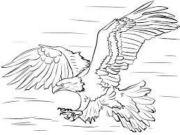 Check spelling or type a new query. Bald Eagle 2 Coloring Page Free Printable Coloring Pages For Kids