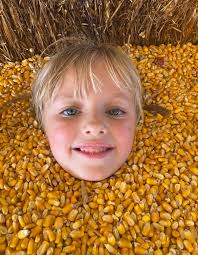 Where's all the bg wizard L. I would figure to see some