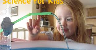 Robin Kolb (lablvr86)