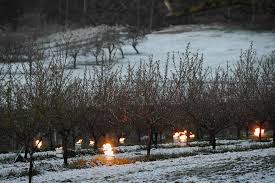 Watch online la dernière vague s01 season 1 full free with english subtitle. Les Infos De 6h30 Gel Des Recoltes Une Seconde Vague De Froid Risque De Faire Des Degats