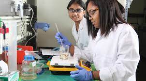 Top 10 best biomedical engineering degrees. Best Biomedical Engineering Schools In Europe College Learners
