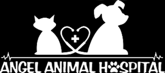 Top coupons and codes for similar stores. Veterinarians In Pasadena Tx Angel Animal Hospital