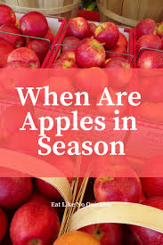 When Are Apples In Season Eat Like No One Else