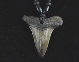 Items Similar To Shark Tooth Necklace Shark Tooth Pendant Wire Wrap Gold Fossil Fossilized Pr Shark Tooth Necklace Shark Tooth Pendant Tooth Necklace