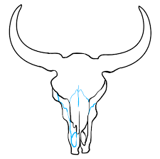 Steer skull steer skull cow skull stock illustrations. How To Draw A Bull Skull Really Easy Drawing Tutorial