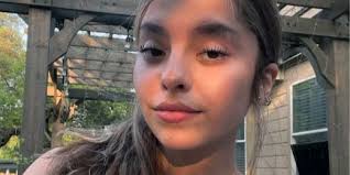 Viral video shows flight attendant punching man attacking female passenger