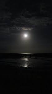 These examples may contain colloquial words based on your search. La Nuit Sur Notre Plage Deserte Photo