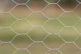Chicken wire, or poultry netting, is a mesh of wire commonly used to fence in fowl, such as chickens, in a run or coop. Chicken Wire To Control Erosion