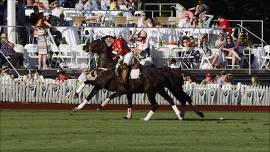 Polo in Newport