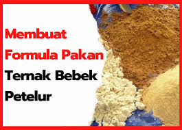 Model kandang itik menurut umurnya agrotani. Membuat Formula Pakan Ternak Bebek Petelur Hobi Ternak