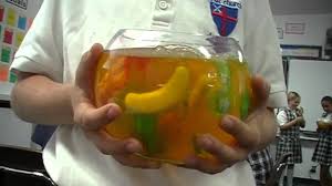 Maybe you would like to learn more about one of these? Edible Cell Projects Youtube