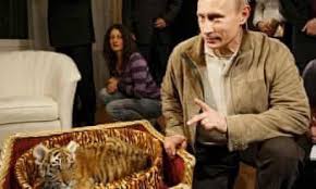 Maybe you would like to learn more about one of these? Look In The Background Tigerking