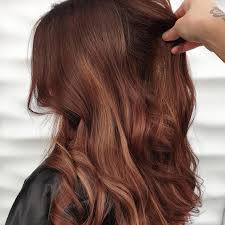Revlon colorsilk 53 light auburn is a light red shade from revlon colorsilk. 11 Auburn Hair Color Ideas And Formulas Wella Professionals
