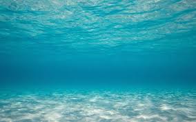 1 видео 1 просмотр обновлен 18 апр. Could The Ocean Floor Be A Permanent Co2 Vault