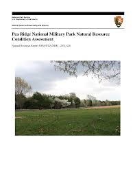 Image result for Sorghastrum fuscescens