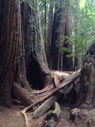 Pin On Life Is Simple Eat Sleep Hike Repeat