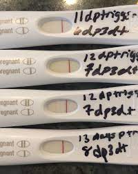 Positive Pregnancy Test