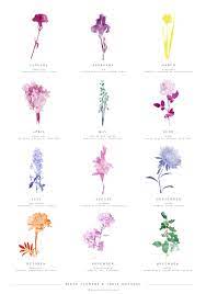 Choosing flowers for a birthday is simple, as you can't go wrong when you buy the appropriate birth month flower. Monthly Birth Flowers And Their Meanings Uniquetattoos Birth Flower Tattoos Flower Tattoo Meanings Birth Flowers