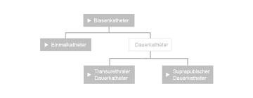 Katheter Legen Prolife Neuron