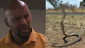 This guy Ke Kgomo straight.🐂🙄