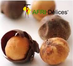 Image result for Scorodophloeus zenkeri