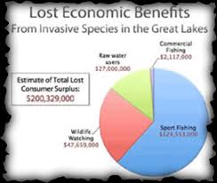 invasive species economic problems pie chart invasive