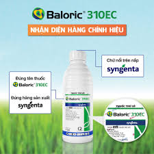 Baloric 310EC