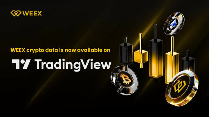 WEEX Integrates TradingView to Offer a More Powerful Trading Analysis Experience | WEEX Help Center