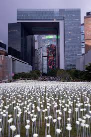 Dongdaemun Design Plaza Light Rose Garden Seoul Korea ڈونگڈیمون ڈیزائن پلازا لائٹ گلاب گارڈن سیو In 2020 South Korea Seoul South Korea Travel Seoul Korea Travel