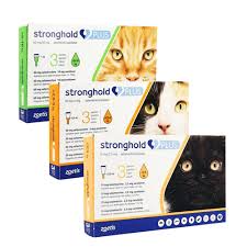 They are something between a cat and a lynx and they're truly beautiful. Stronghold Plus Spot On Solution For Large Cats 3 Pack